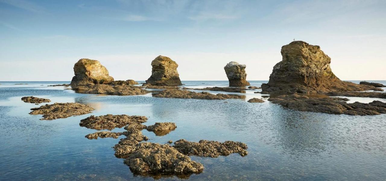 Appart Bord De Mer, 6 Places, Plage, Dune, Parking Gratuit, Rez De Chaussee サンティレール・ド・リエ エクステリア 写真